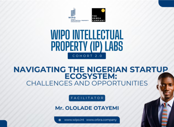 Navigating the Nigerian Startup Ecosystem- Challenges and Opportunities